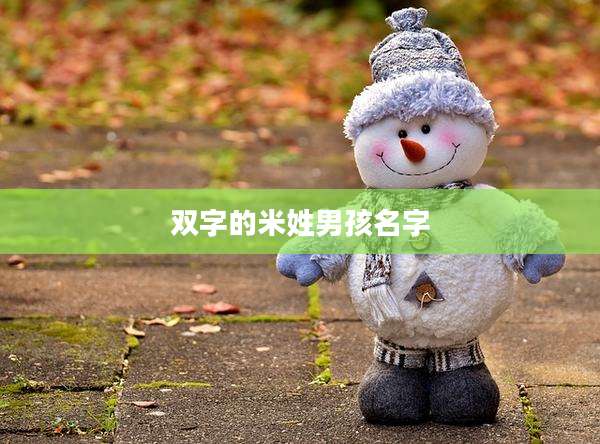 双字的米姓男孩名字