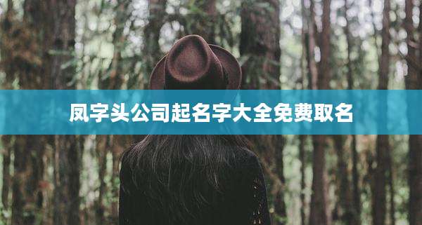 凤字头公司起名字大全免费取名
