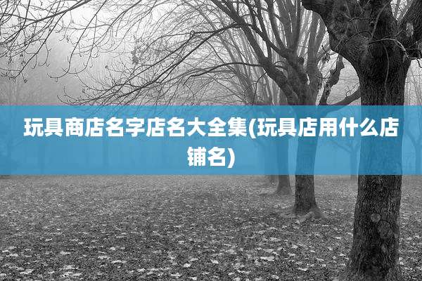 玩具商店名字店名大全集(玩具店用什么店铺名)