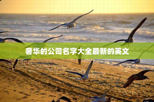 奢华的公司名字大全最新的英文