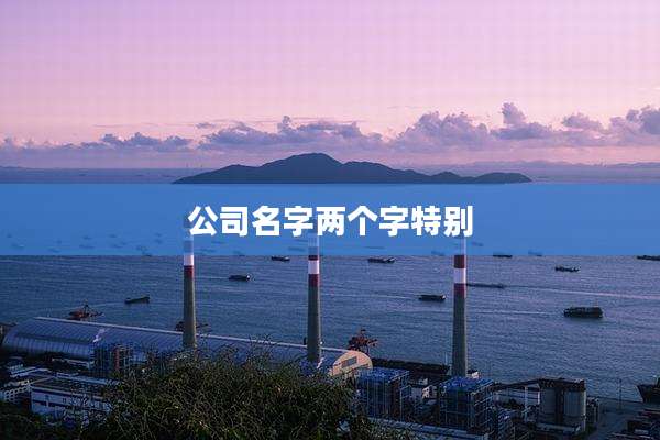 公司名字两个字特别