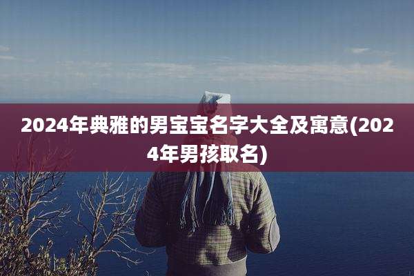 2024年典雅的男宝宝名字大全及寓意(2024年男孩取名)