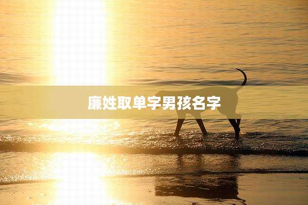廉姓取单字男孩名字