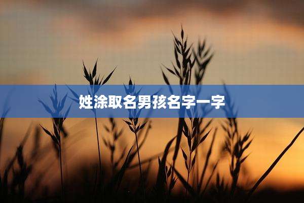 姓涂取名男孩名字一字