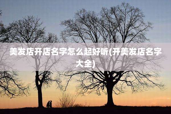 美发店开店名字怎么起好听(开美发店名字大全)