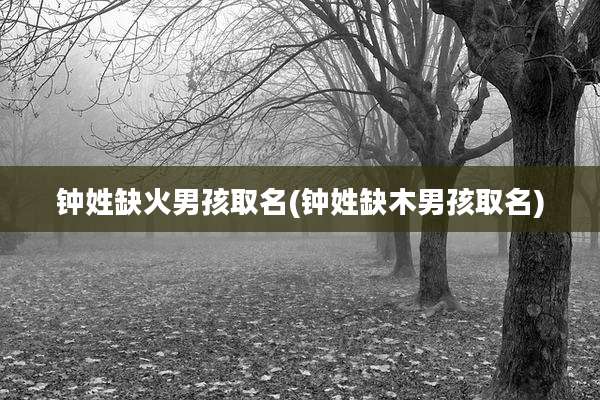 钟姓缺火男孩取名(钟姓缺木男孩取名)