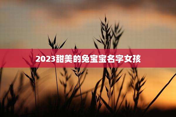 2023甜美的兔宝宝名字女孩
