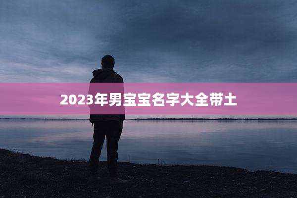 2023年男宝宝名字大全带土