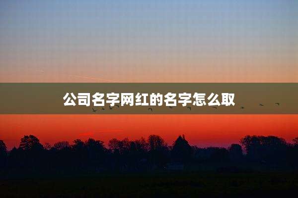公司名字网红的名字怎么取