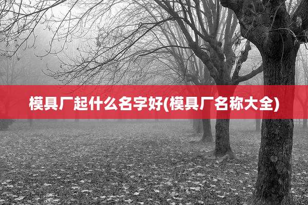 模具厂起什么名字好(模具厂名称大全)