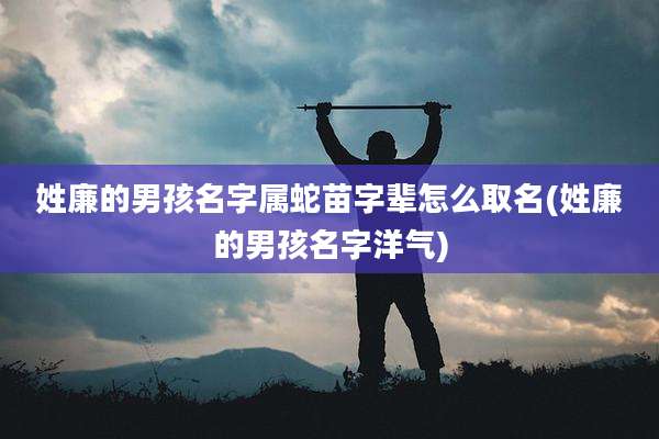 姓廉的男孩名字属蛇苗字辈怎么取名(姓廉的男孩名字洋气)