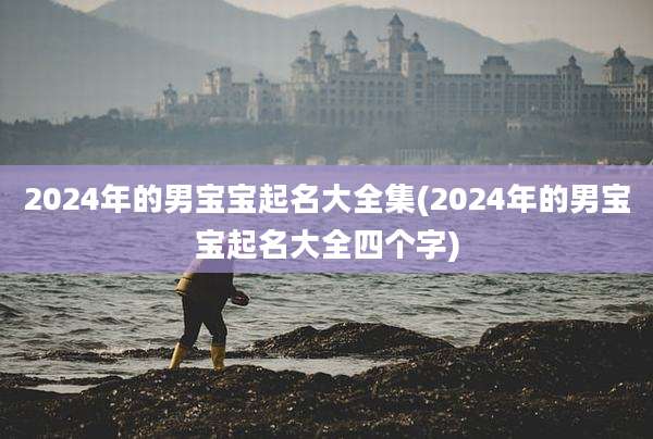 2024年的男宝宝起名大全集(2024年的男宝宝起名大全四个字)