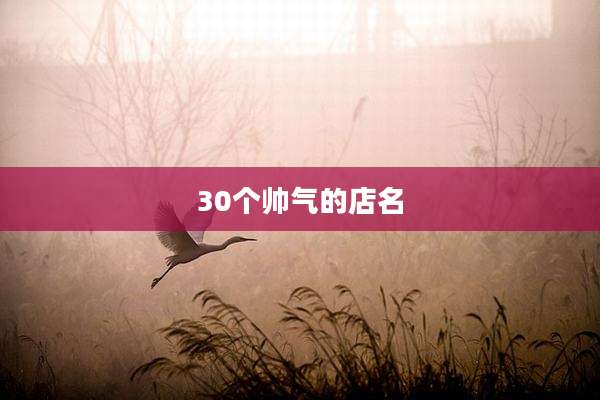 30个帅气的店名