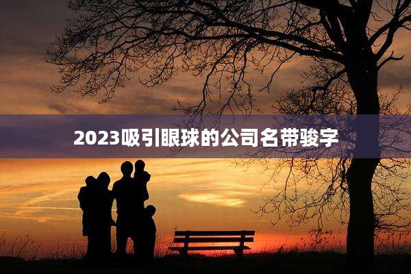 2023吸引眼球的公司名带骏字