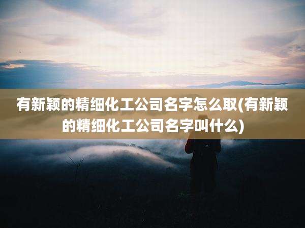 有新颖的精细化工公司名字怎么取(有新颖的精细化工公司名字叫什么)