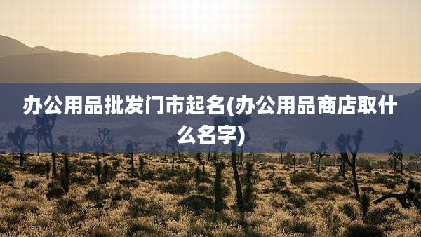 办公用品批发门市起名(办公用品商店取什么名字)