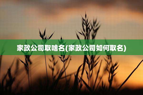家政公司取啥名(家政公司如何取名)