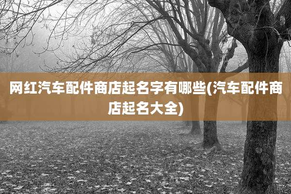 网红汽车配件商店起名字有哪些(汽车配件商店起名大全)