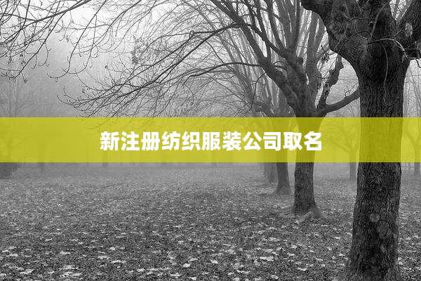 新注册纺织服装公司取名
