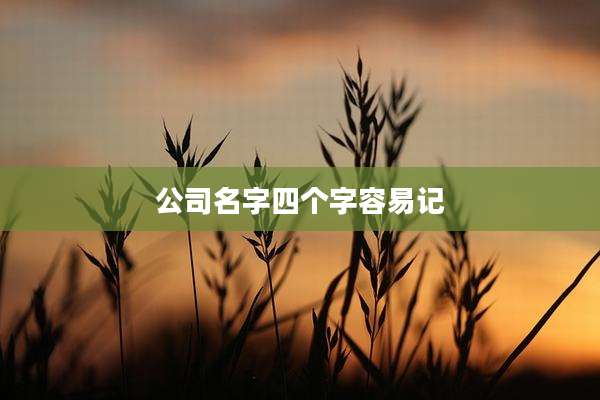 公司名字四个字容易记