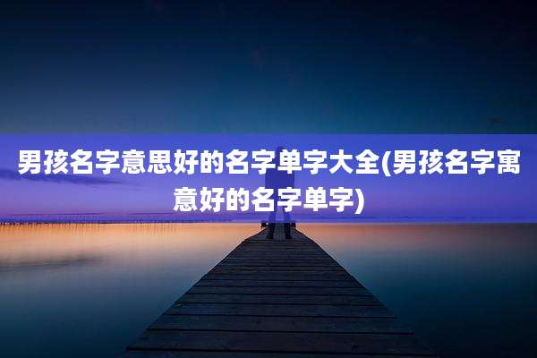 男孩名字意思好的名字单字大全(男孩名字寓意好的名字单字)
