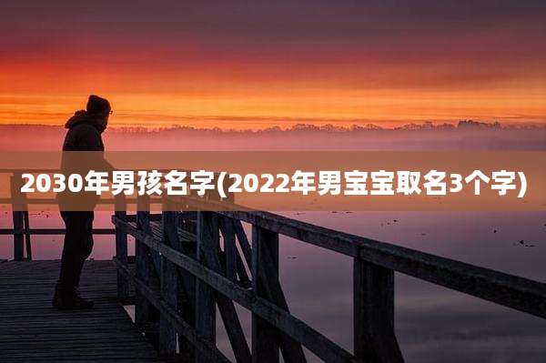 2030年男孩名字(2022年男宝宝取名3个字)