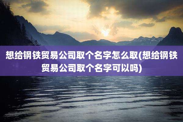 想给钢铁贸易公司取个名字怎么取(想给钢铁贸易公司取个名字可以吗)