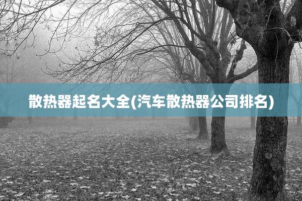 散热器起名大全(汽车散热器公司排名)