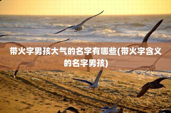带火字男孩大气的名字有哪些(带火字含义的名字男孩)