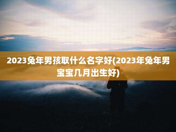 2023兔年男孩取什么名字好(2023年兔年男宝宝几月出生好)