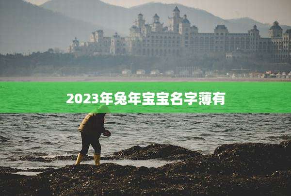 2023年兔年宝宝名字薄有