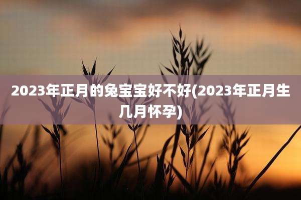 2023年正月的兔宝宝好不好(2023年正月生几月怀孕)