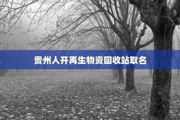贵州人开再生物资回收站取名