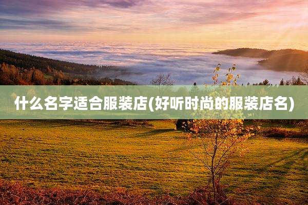 什么名字适合服装店(好听时尚的服装店名)