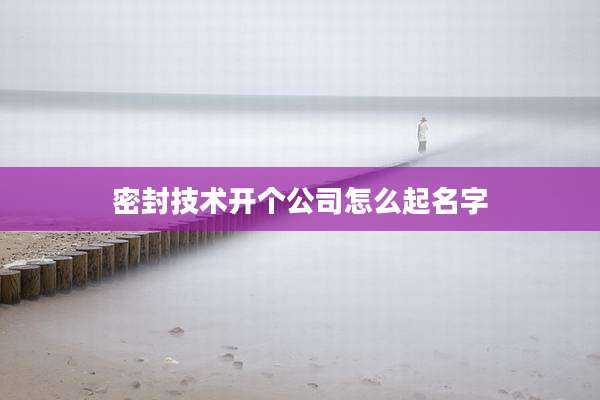 密封技术开个公司怎么起名字