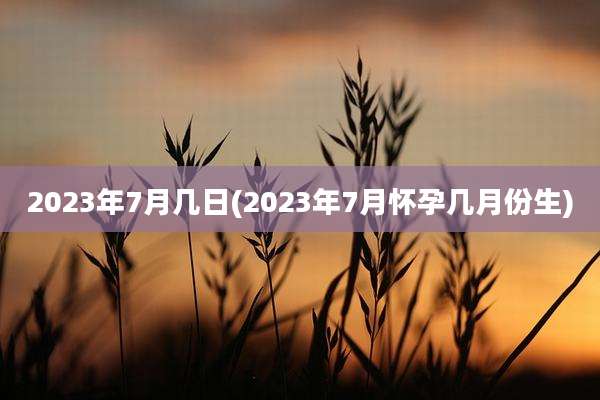 2023年7月几日(2023年7月怀孕几月份生)