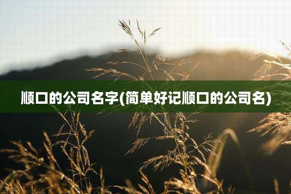 顺口的公司名字(简单好记顺口的公司名)