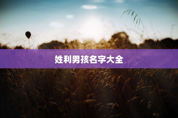 姓利男孩名字大全