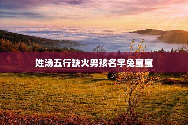 姓汤五行缺火男孩名字兔宝宝