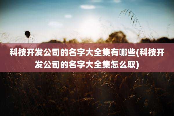 科技开发公司的名字大全集有哪些(科技开发公司的名字大全集怎么取)