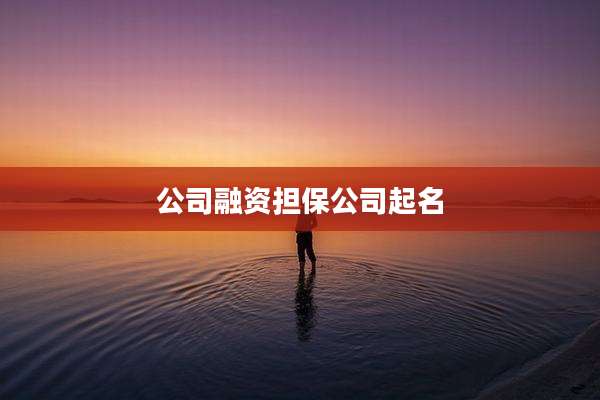 公司融资担保公司起名