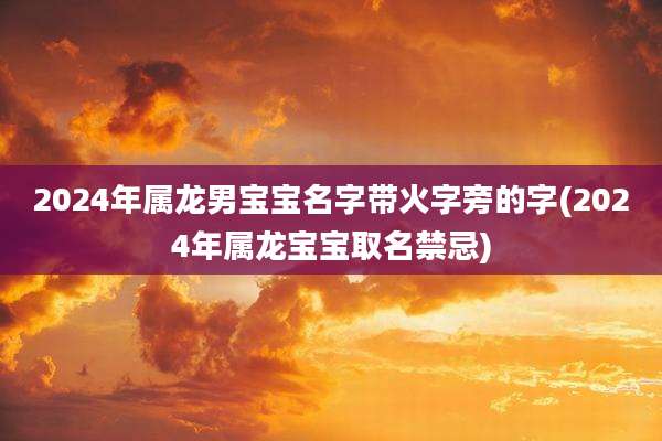 2024年属龙男宝宝名字带火字旁的字(2024年属龙宝宝取名禁忌)