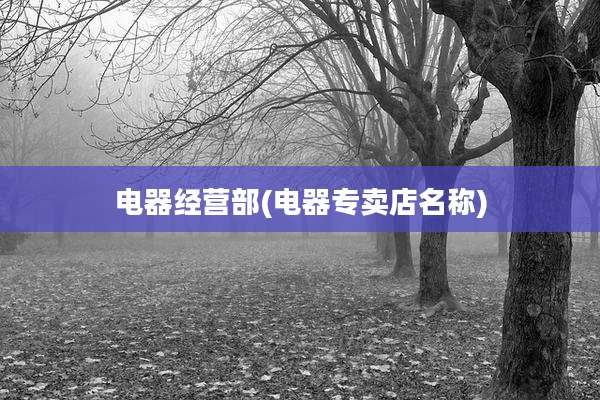 电器经营部(电器专卖店名称)