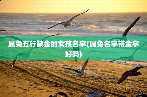 属兔五行缺金的女孩名字(属兔名字带金字好吗)