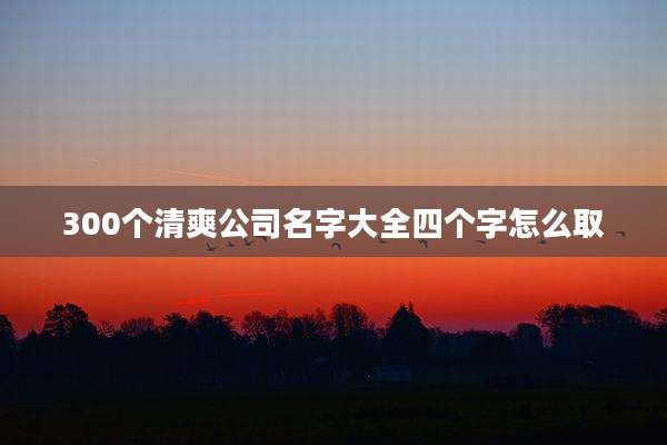 300个清爽公司名字大全四个字怎么取