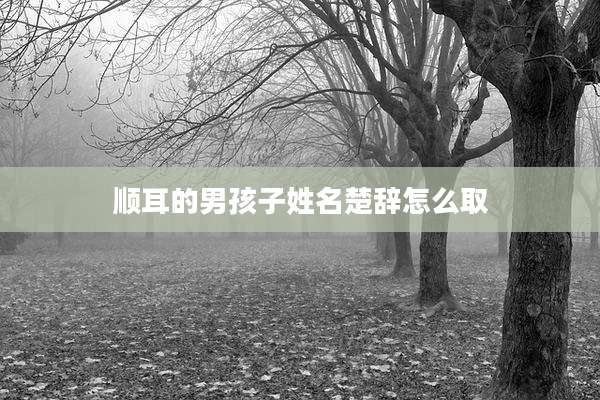 顺耳的男孩子姓名楚辞怎么取