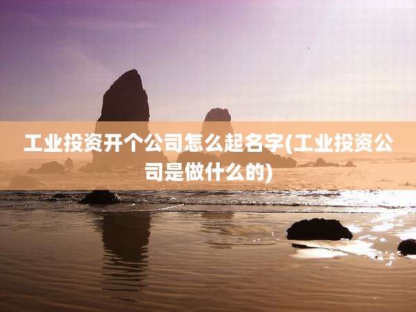 工业投资开个公司怎么起名字(工业投资公司是做什么的)