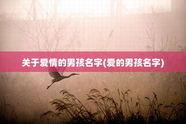 关于爱情的男孩名字(爱的男孩名字)