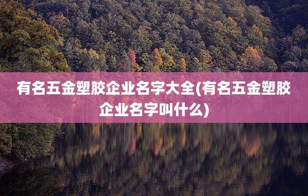 有名五金塑胶企业名字大全(有名五金塑胶企业名字叫什么)