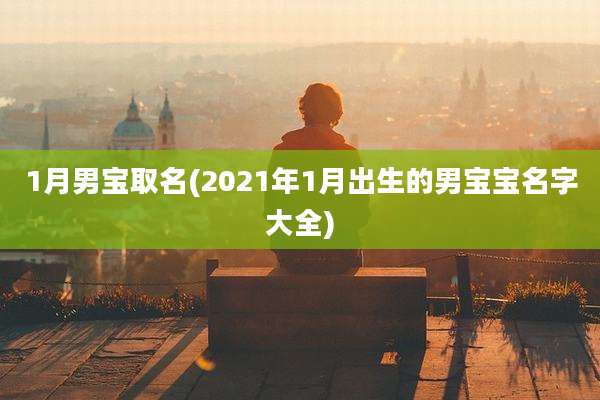 1月男宝取名(2021年1月出生的男宝宝名字大全)